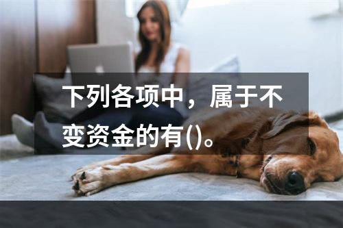 下列各项中，属于不变资金的有()。