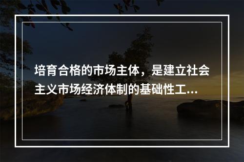 培育合格的市场主体，是建立社会主义市场经济体制的基础性工程。