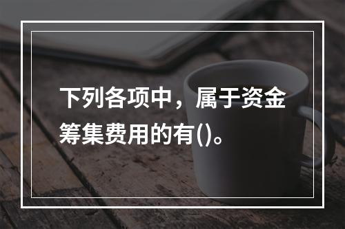 下列各项中，属于资金筹集费用的有()。