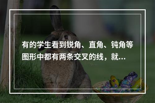 有的学生看到锐角、直角、钝角等图形中都有两条交叉的线，就认为