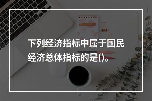 下列经济指标中属于国民经济总体指标的是()。