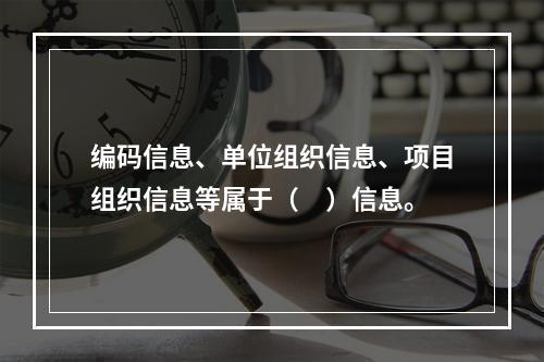 编码信息、单位组织信息、项目组织信息等属于（　）信息。