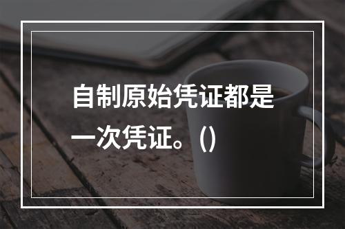 自制原始凭证都是一次凭证。()