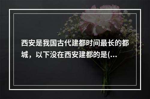 西安是我国古代建都时间最长的都城，以下没在西安建都的是()。