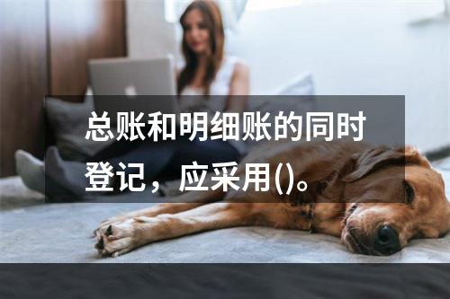 总账和明细账的同时登记，应采用()。