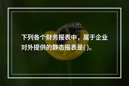 下列各个财务报表中，属于企业对外提供的静态报表是( )。