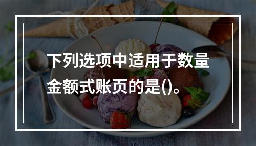 下列选项中适用于数量金额式账页的是()。