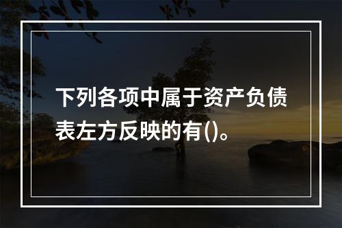 下列各项中属于资产负债表左方反映的有()。