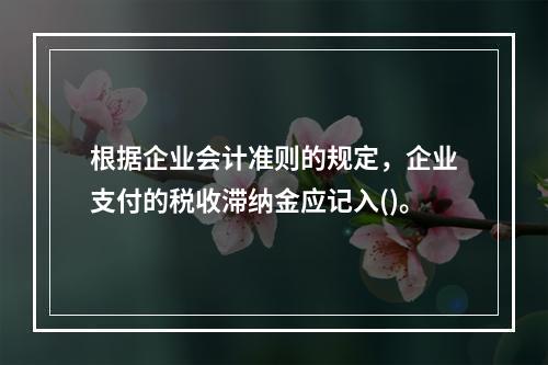 根据企业会计准则的规定，企业支付的税收滞纳金应记入()。