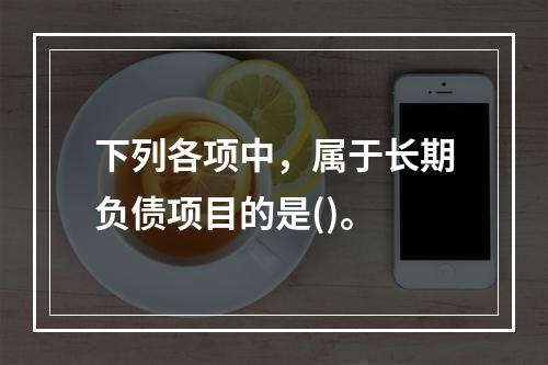 下列各项中，属于长期负债项目的是()。