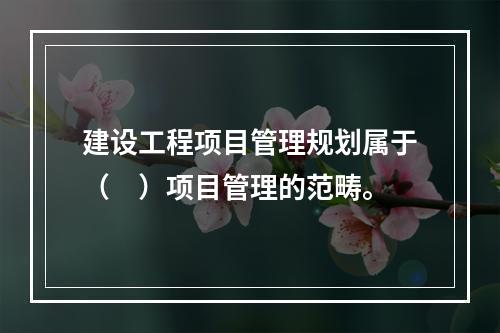 建设工程项目管理规划属于（　）项目管理的范畴。