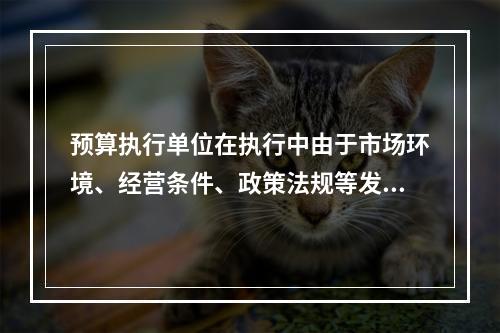 预算执行单位在执行中由于市场环境、经营条件、政策法规等发生重