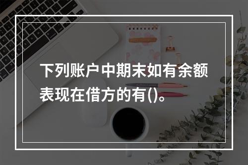 下列账户中期末如有余额表现在借方的有()。