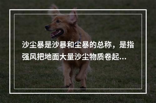 沙尘暴是沙暴和尘暴的总称，是指强风把地面大量沙尘物质卷起并吹