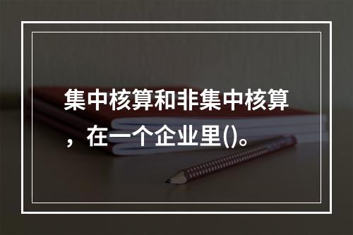 集中核算和非集中核算，在一个企业里()。