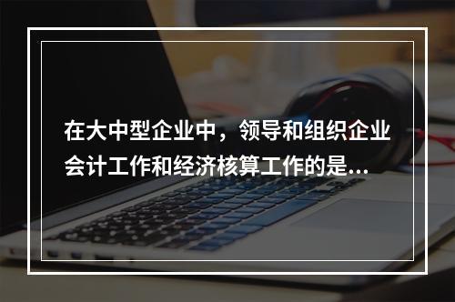 在大中型企业中，领导和组织企业会计工作和经济核算工作的是()