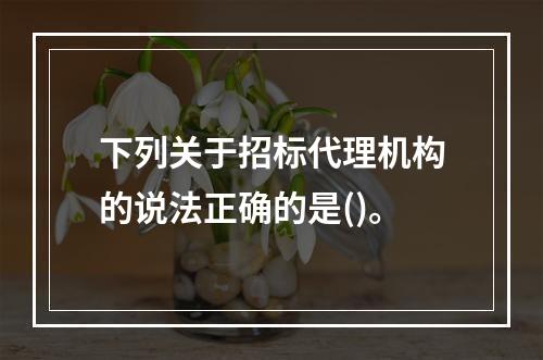 下列关于招标代理机构的说法正确的是()。