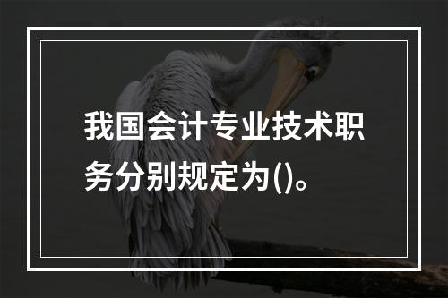 我国会计专业技术职务分别规定为()。