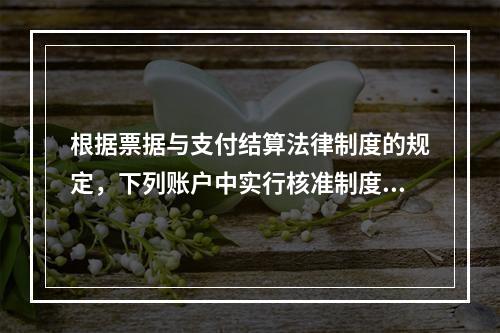 根据票据与支付结算法律制度的规定，下列账户中实行核准制度的有