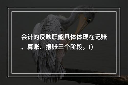 会计的反映职能具体体现在记账、算账、报账三个阶段。()