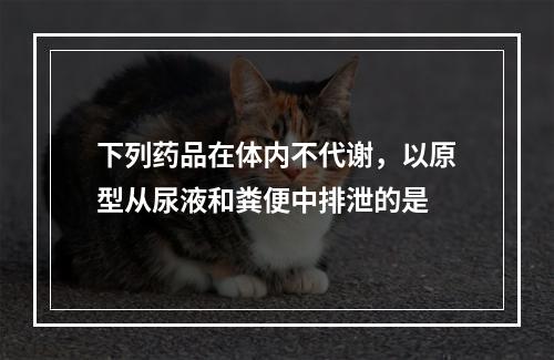 下列药品在体内不代谢，以原型从尿液和粪便中排泄的是