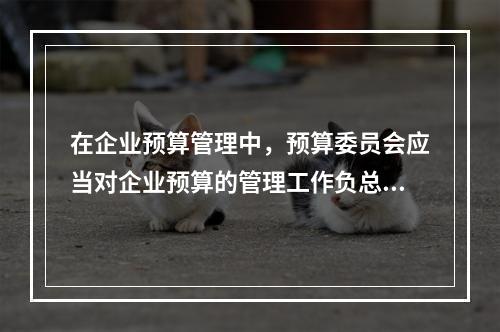 在企业预算管理中，预算委员会应当对企业预算的管理工作负总责。