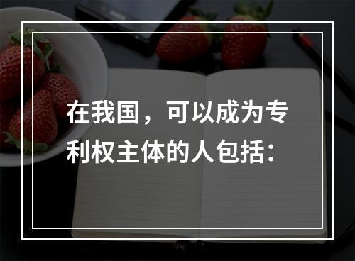 在我国，可以成为专利权主体的人包括：