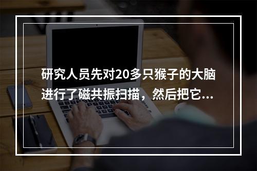 研究人员先对20多只猴子的大脑进行了磁共振扫描，然后把它们分