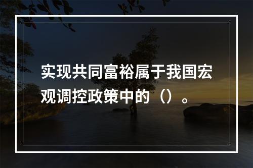 实现共同富裕属于我国宏观调控政策中的（）。