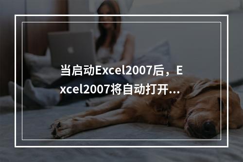 当启动Excel2007后，Excel2007将自动打开一个