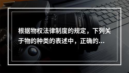 根据物权法律制度的规定，下列关于物的种类的表述中，正确的是（