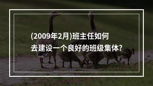 (2009年2月)班主任如何去建设一个良好的班级集体?