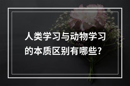 人类学习与动物学习的本质区别有哪些?