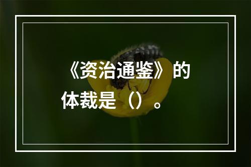 《资治通鉴》的体裁是（）。