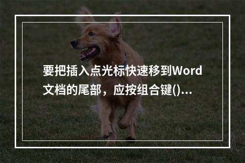 要把插入点光标快速移到Word文档的尾部，应按组合键()。