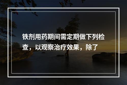 铁剂用药期间需定期做下列检查，以观察治疗效果，除了