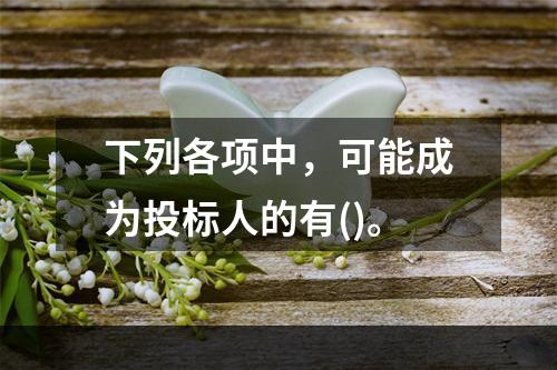 下列各项中，可能成为投标人的有()。