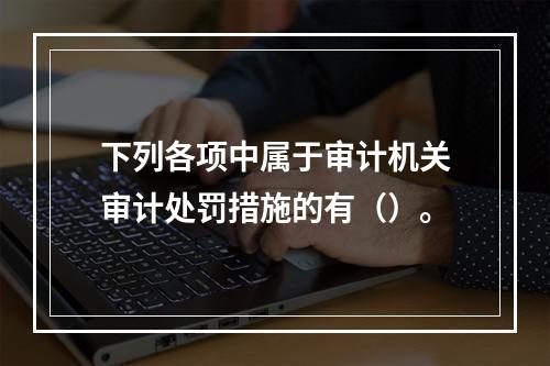 下列各项中属于审计机关审计处罚措施的有（）。