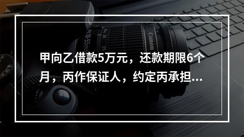 甲向乙借款5万元，还款期限6个月，丙作保证人，约定丙承担保证