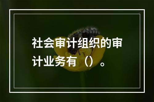 社会审计组织的审计业务有（）。