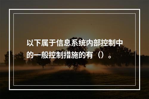 以下属于信息系统内部控制中的一般控制措施的有（）。