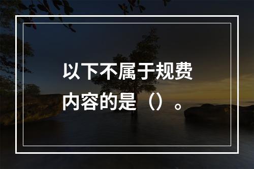 以下不属于规费内容的是（）。