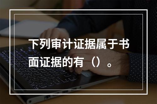 下列审计证据属于书面证据的有（）。