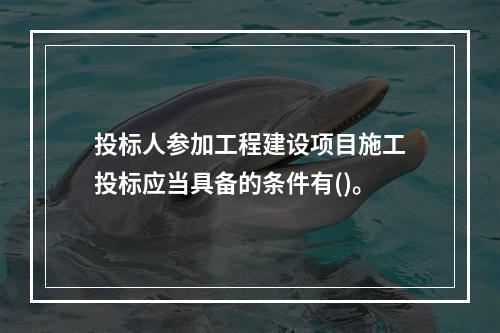 投标人参加工程建设项目施工投标应当具备的条件有()。