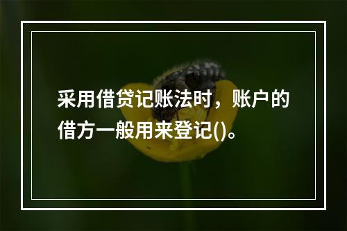 采用借贷记账法时，账户的借方一般用来登记()。