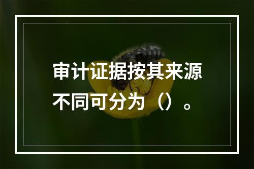 审计证据按其来源不同可分为（）。