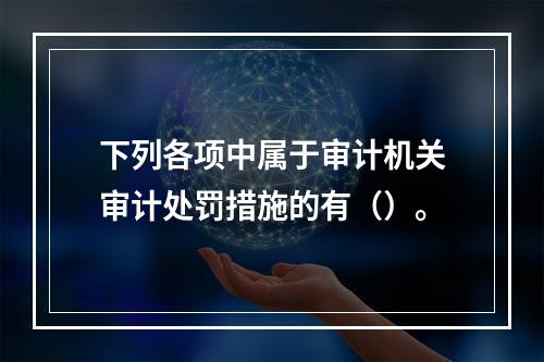 下列各项中属于审计机关审计处罚措施的有（）。