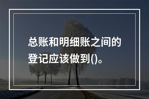 总账和明细账之间的登记应该做到()。