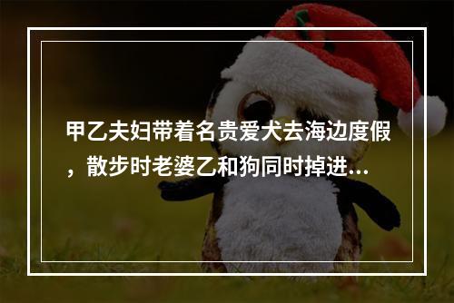 甲乙夫妇带着名贵爱犬去海边度假，散步时老婆乙和狗同时掉进海里