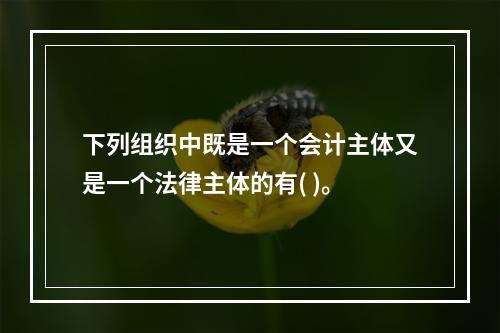 下列组织中既是一个会计主体又是一个法律主体的有( )。